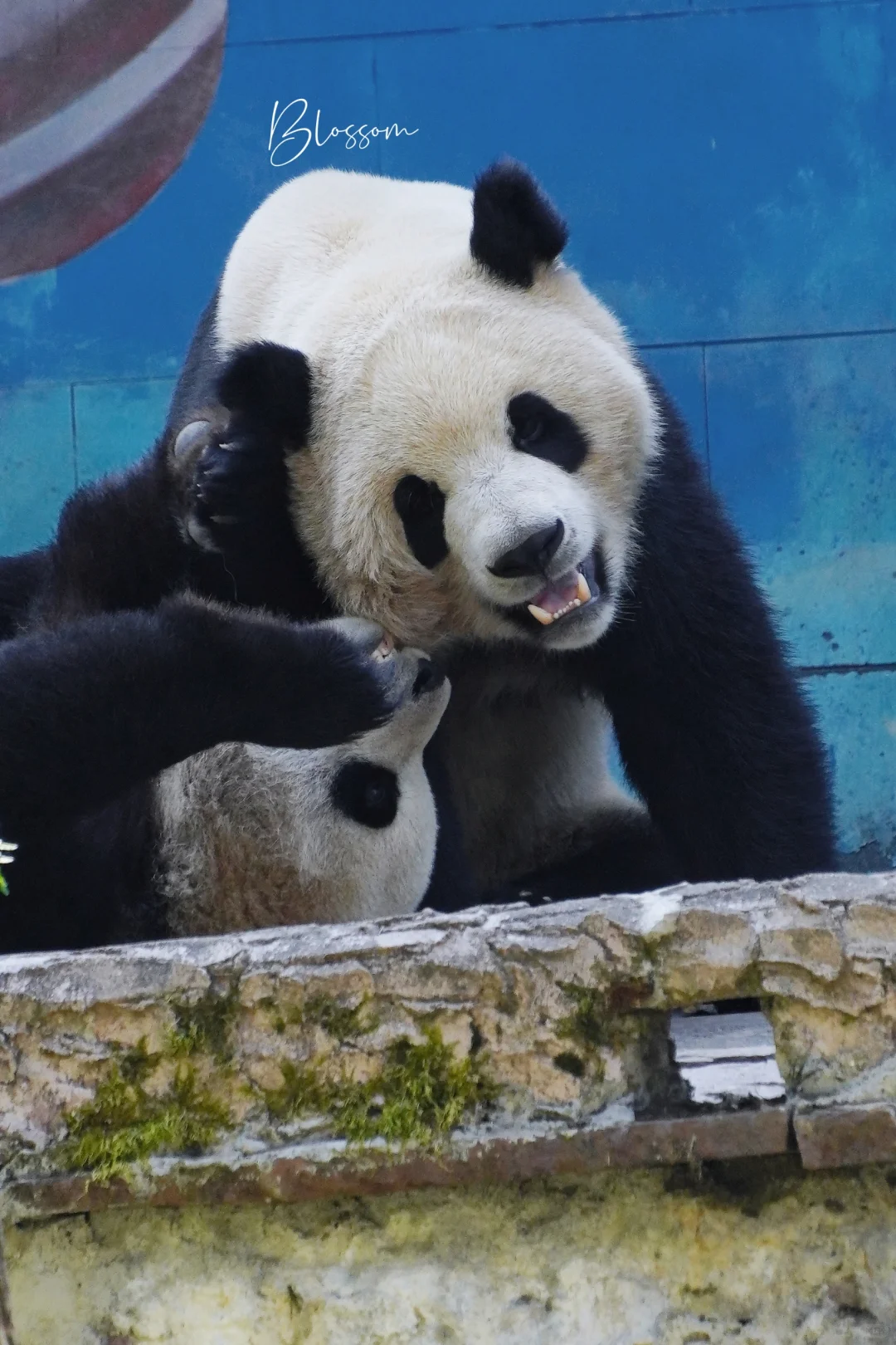240904 车车又要被修理了