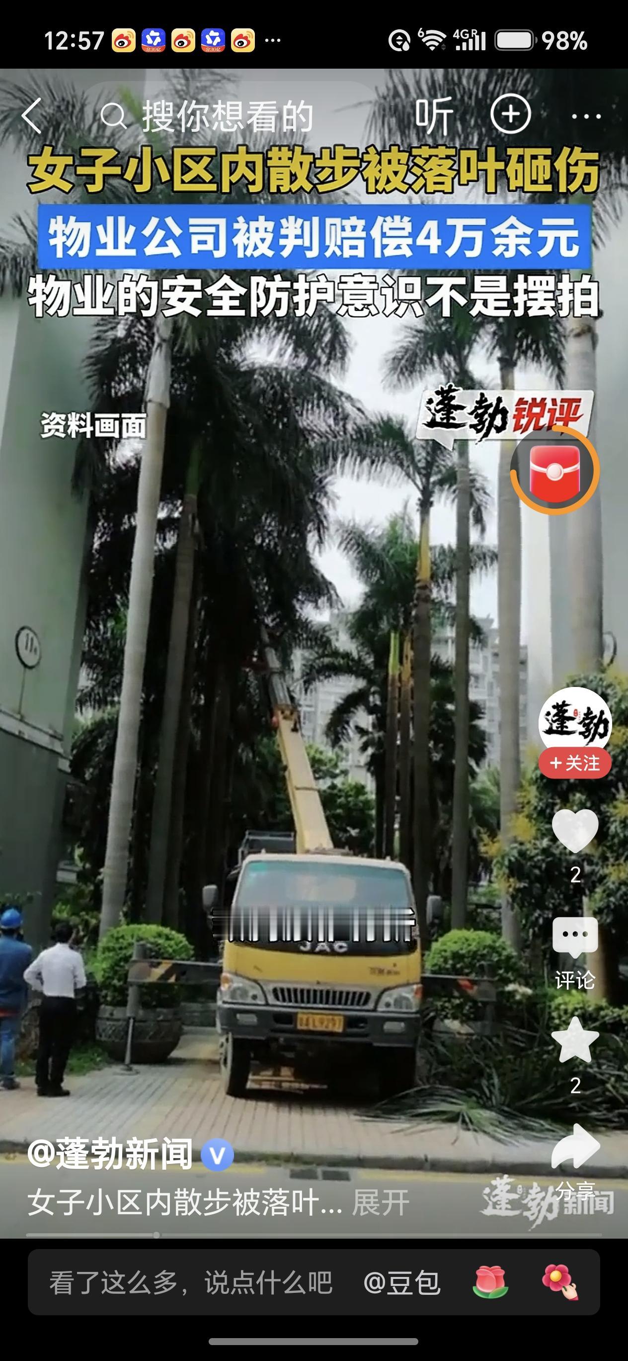 原来这落叶是大王椰树叶，大王椰树叶枯叶就重达十几斤，女子被砸中背部，导致胸椎腰椎