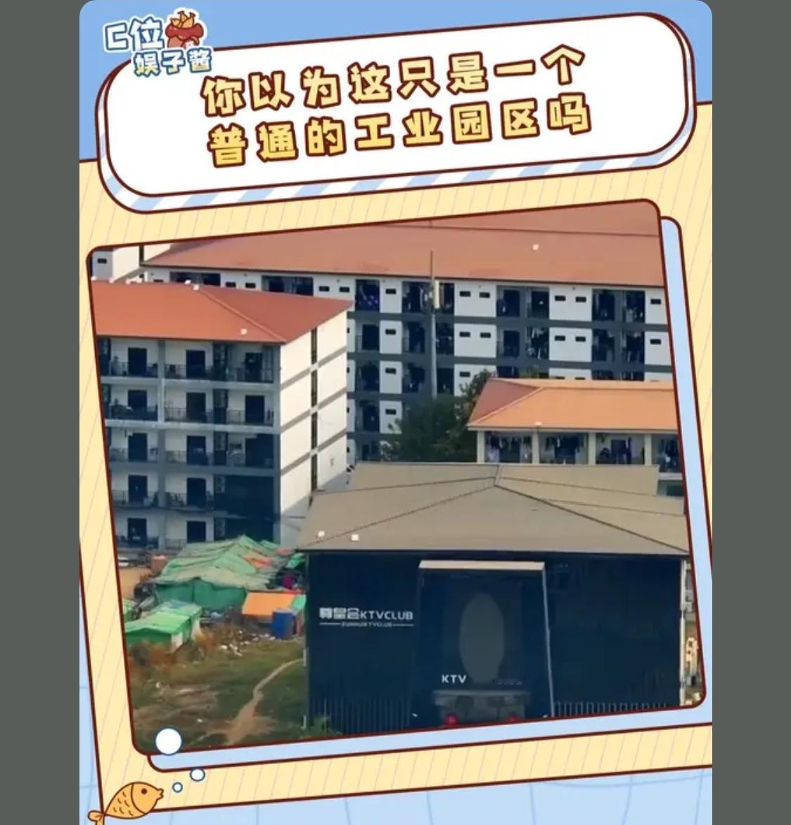 现在被骗去的基本没有，都是自愿去的，后面回国被查出来都是说被骗的，也没有逃跑这一