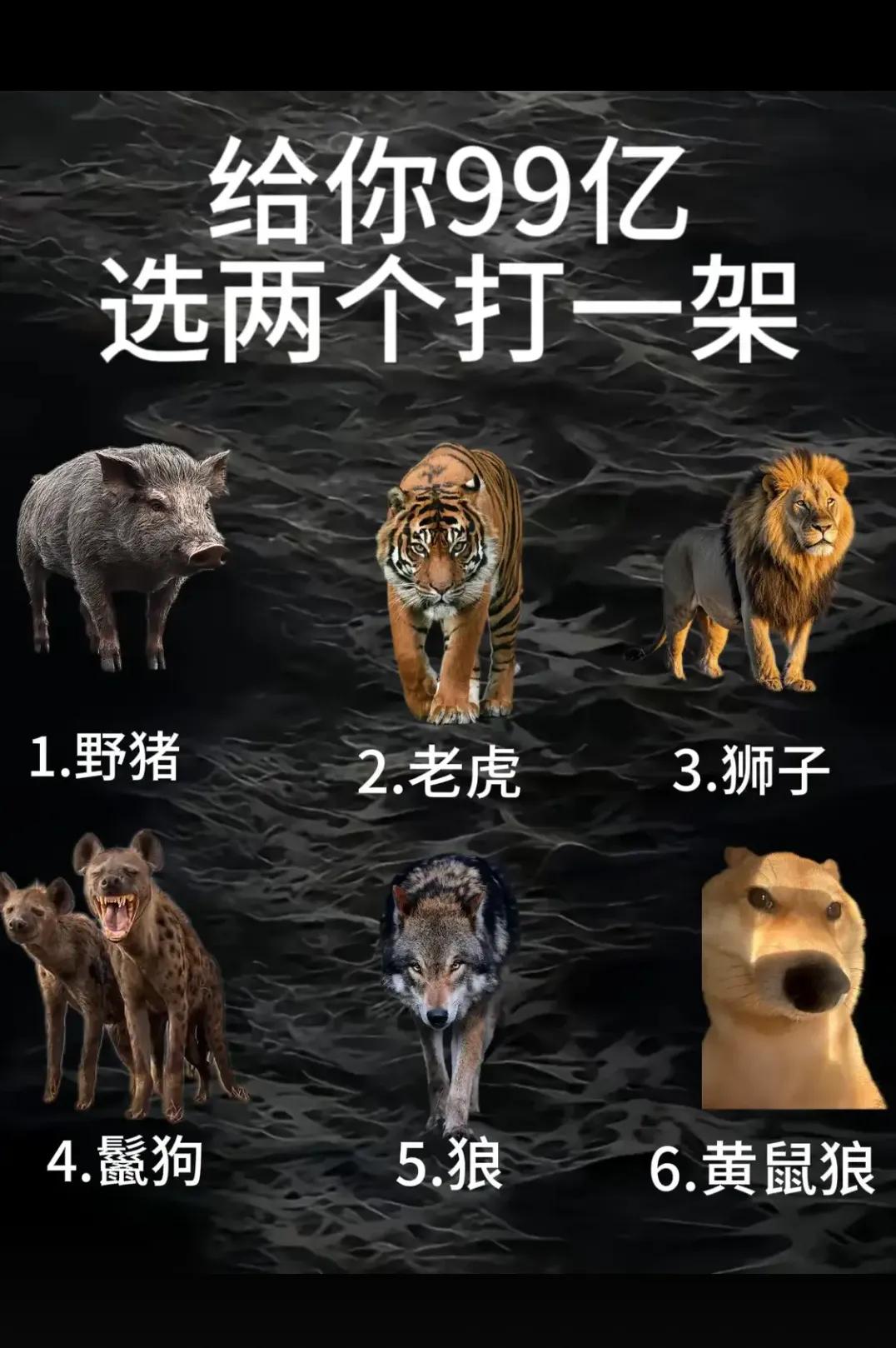 选两个打一架  你会怎么选？？？
