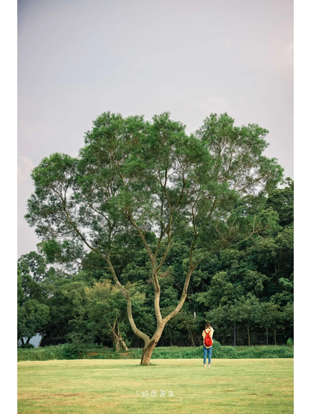 深圳恩上水库|极少数人知道的湿地公园🏞