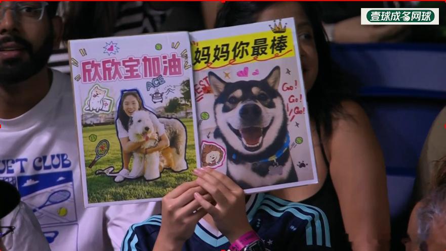 还是现场球迷有趣！王欣瑜vs乔安娜wta[超话] ​​​