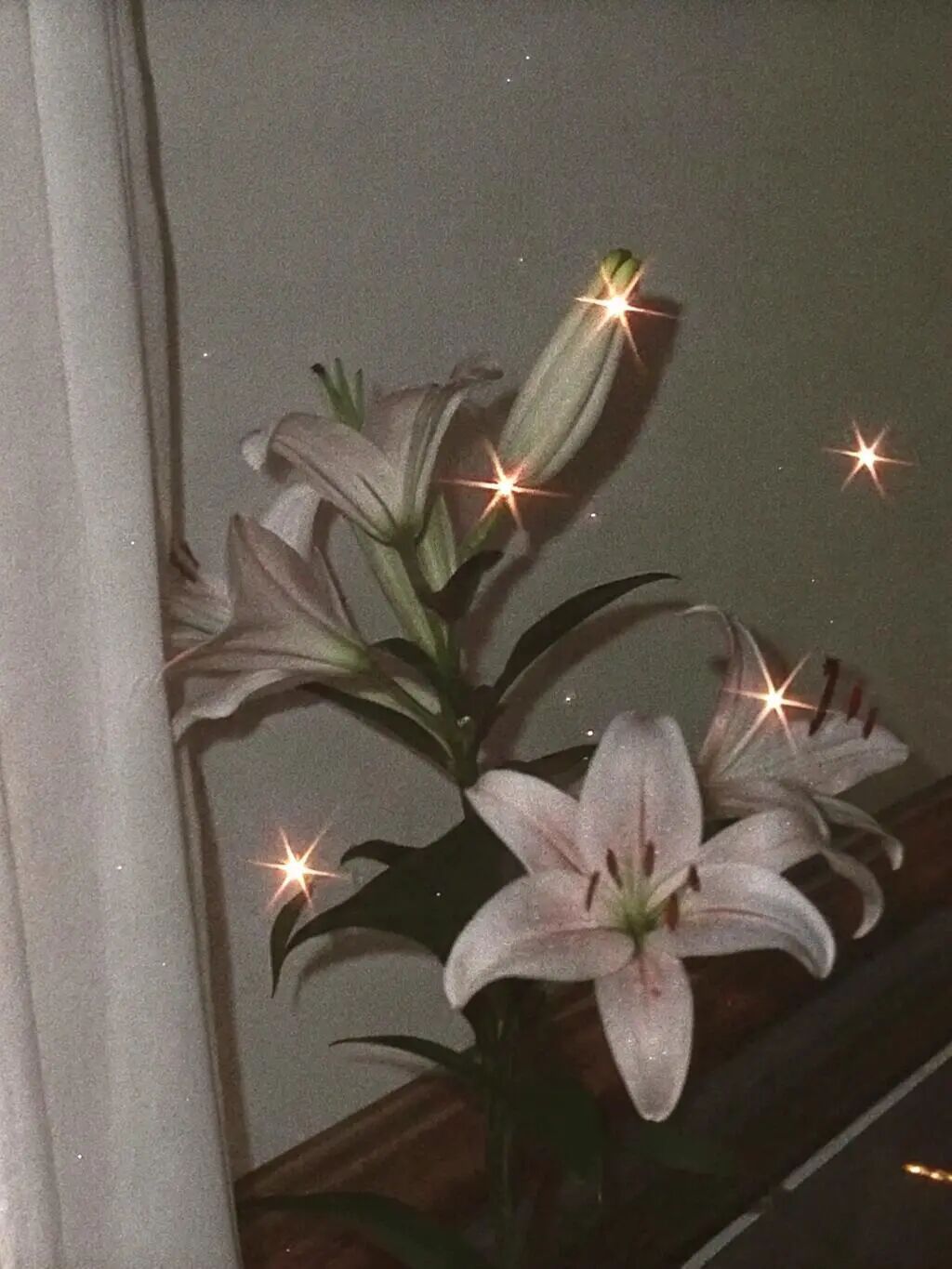 百合 ⋆⊹˚｡⋆ 