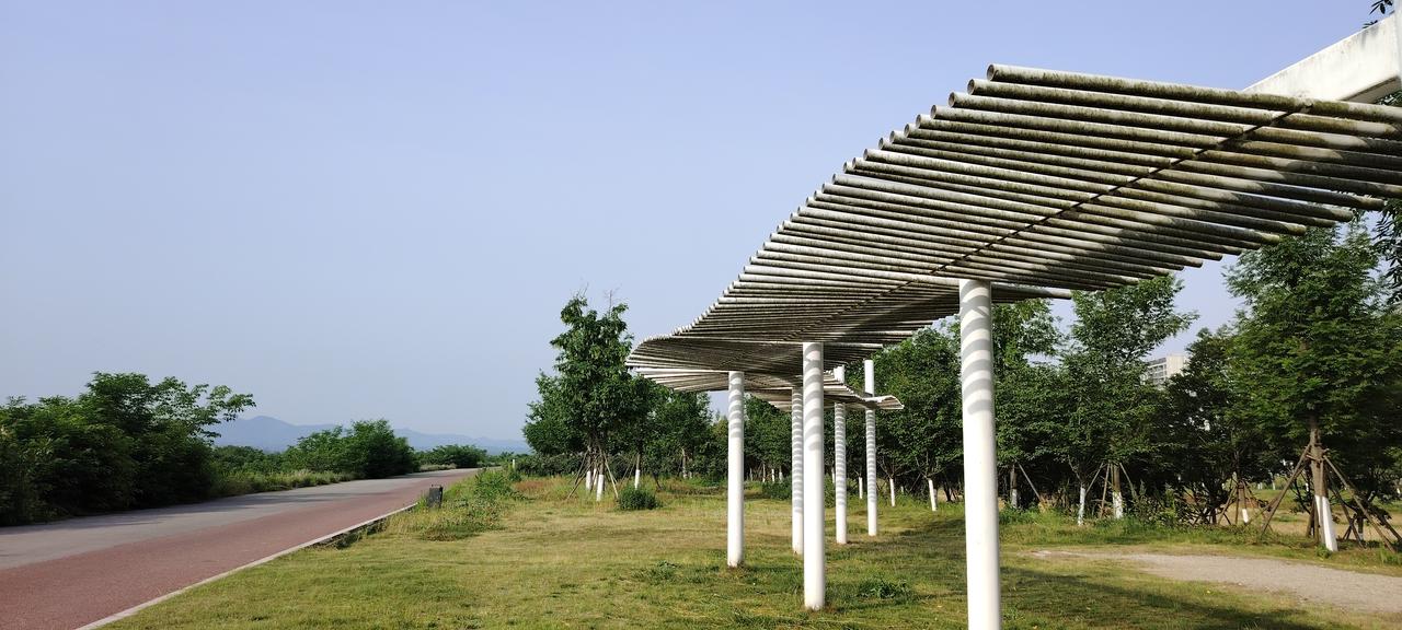 建设中的城固滨江湿地公园，已经第四个年头了，不知道还得多长时间才能完工开放。
河