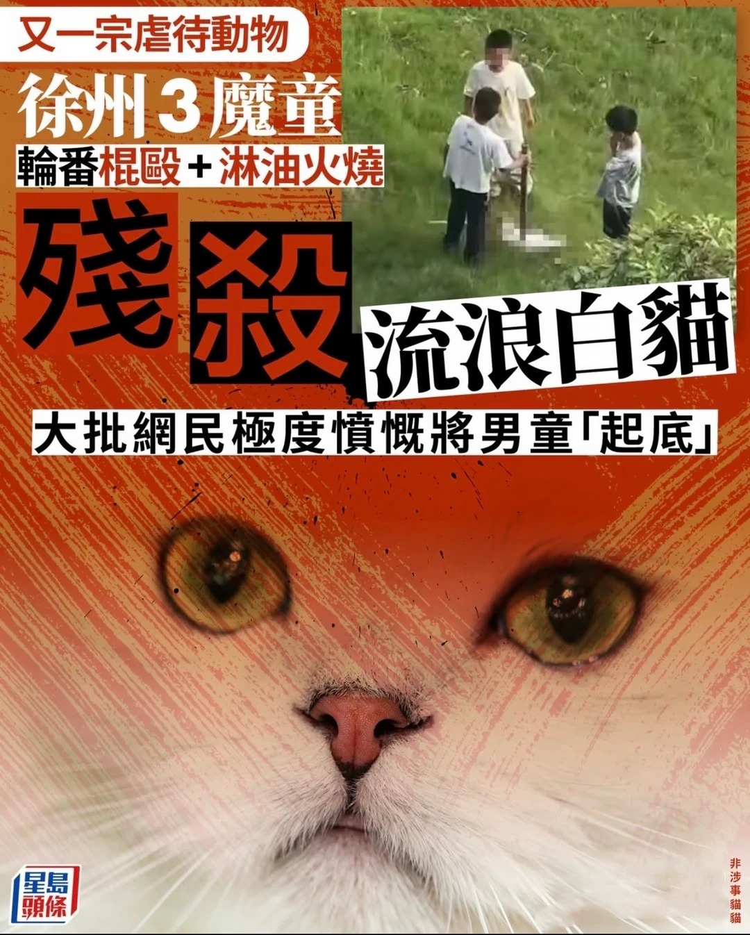 我是一个胆小鬼