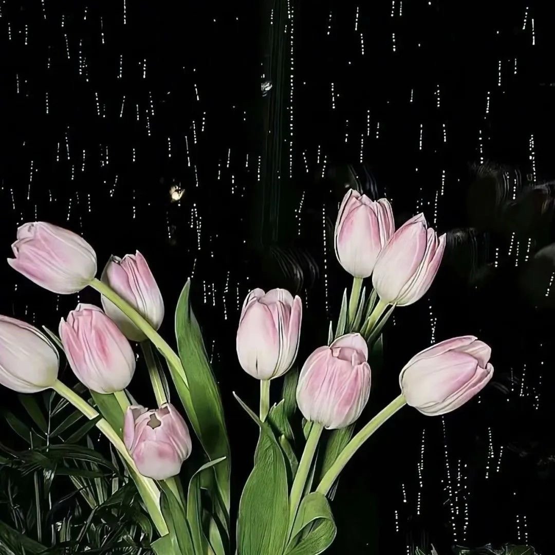 ℍ𝕒𝕡𝕡𝕪 𝕝𝕚𝕗𝕖 📷 ⋆我与旧事归于尽 来日依旧迎花开 ​