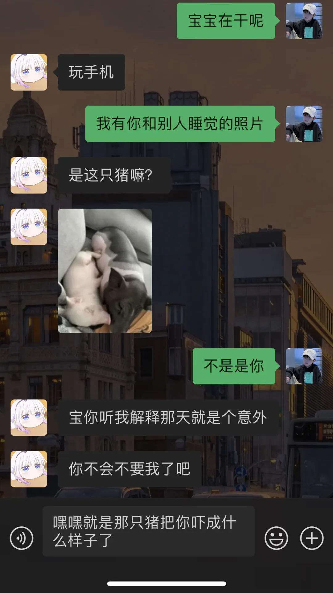 果然经不起试探[灵光一闪]