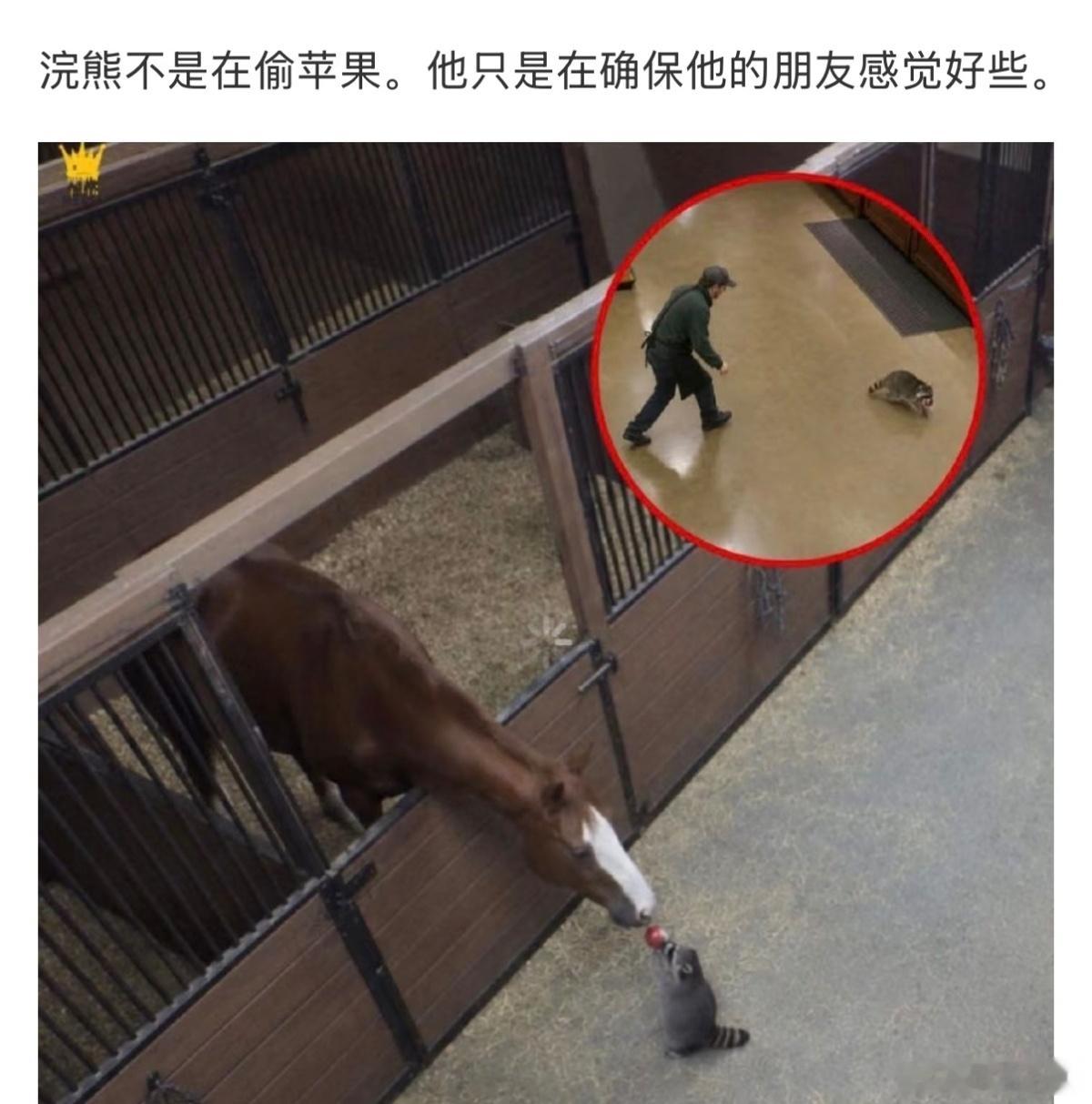 所谓迷茫，就是才华配不上梦想：大事干不了，小事不肯干;不想做手边的事，只想做天边