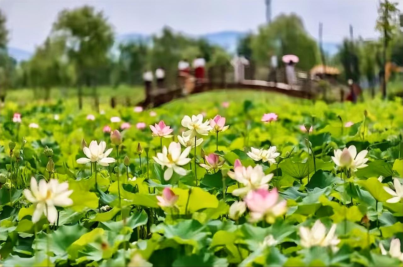 •‿•♡ⓛⓞⓥⓔ♡
⛅️²⁰²⁶/₀₇.₁₄ᰔᩚ ◡̈ ᐝ🌈এℒℴ⋆✧
 ﹊﹊