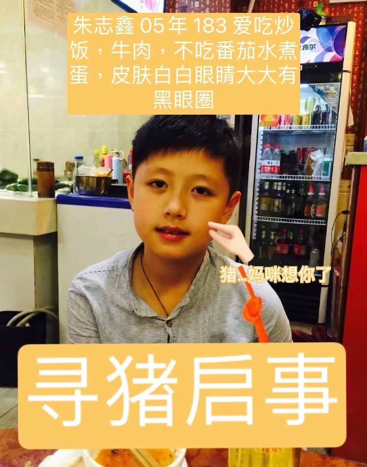 ⚠️寻猪启事⚠️