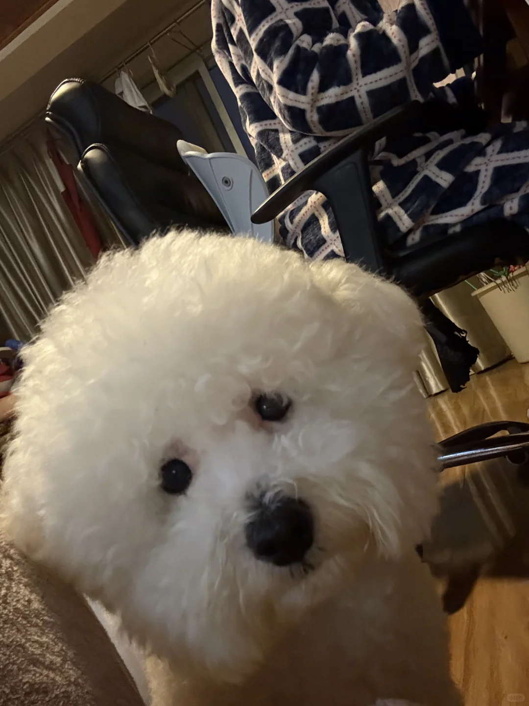 小表情超可爱的宝宝🥰