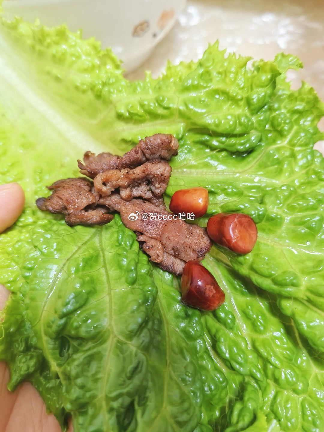 快来吃点草～ 