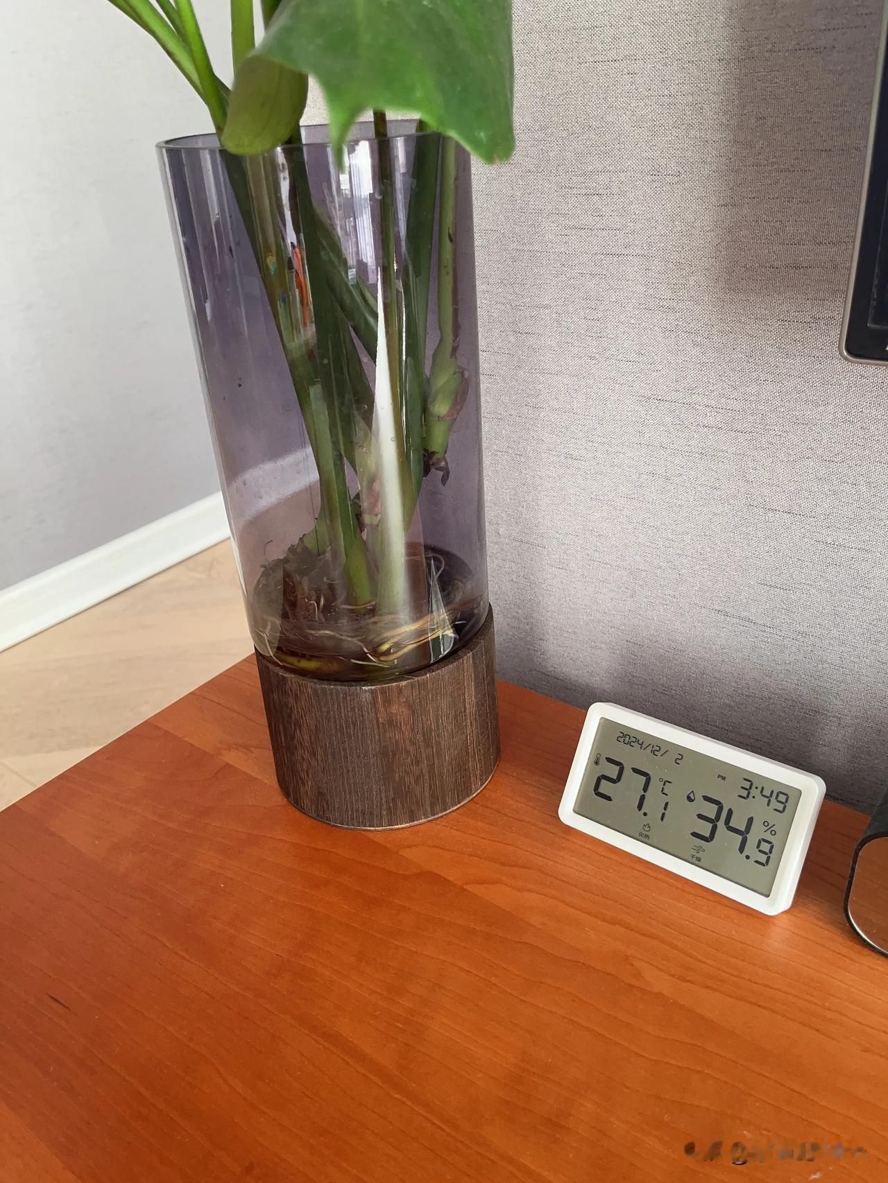 某书发了个租房帖，有十多个问的，其中好几个是中介

还有女孩问可不可以养宠物，我