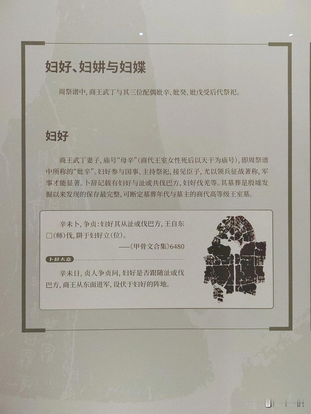 王入大邑商（十三）
——天津博物馆藏武丁卜辞探亲展