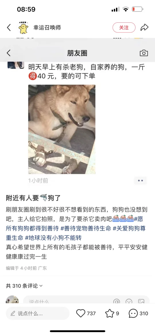 怎么办怎么办