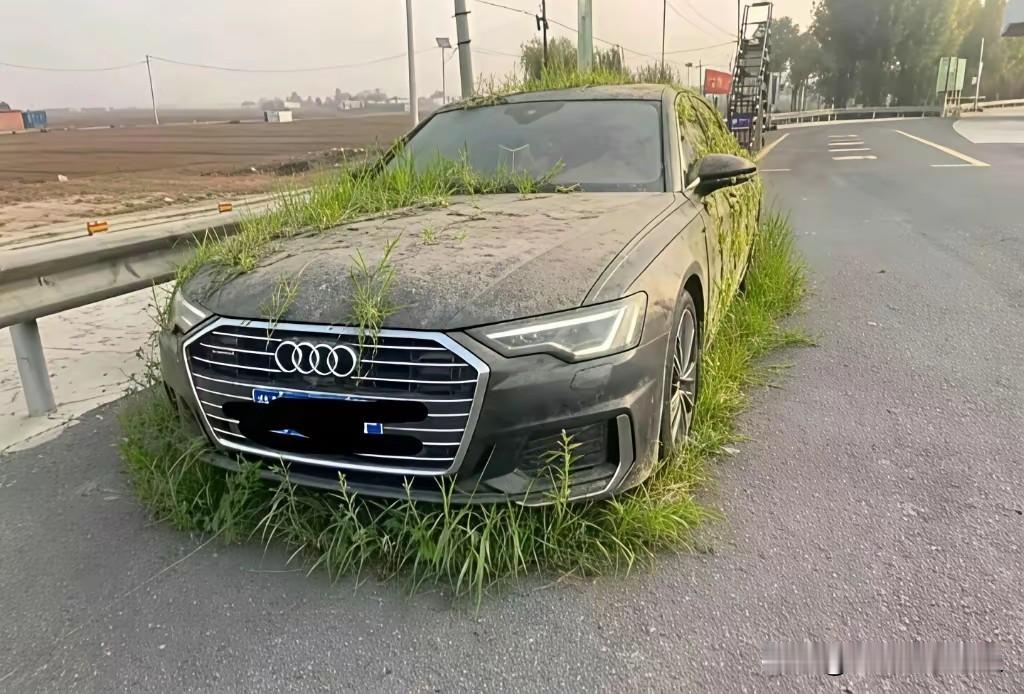 这台奥迪A6俨然成了“路霸”，车身杂草丛生，都快变成绿化带了。车主这状况，要么“