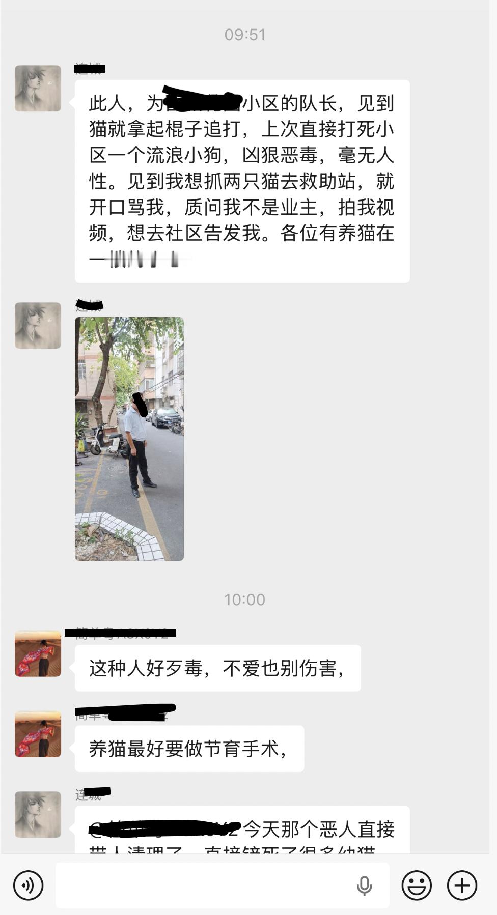 物业工作人员处死流浪猫狗，群里为此吵了起来 