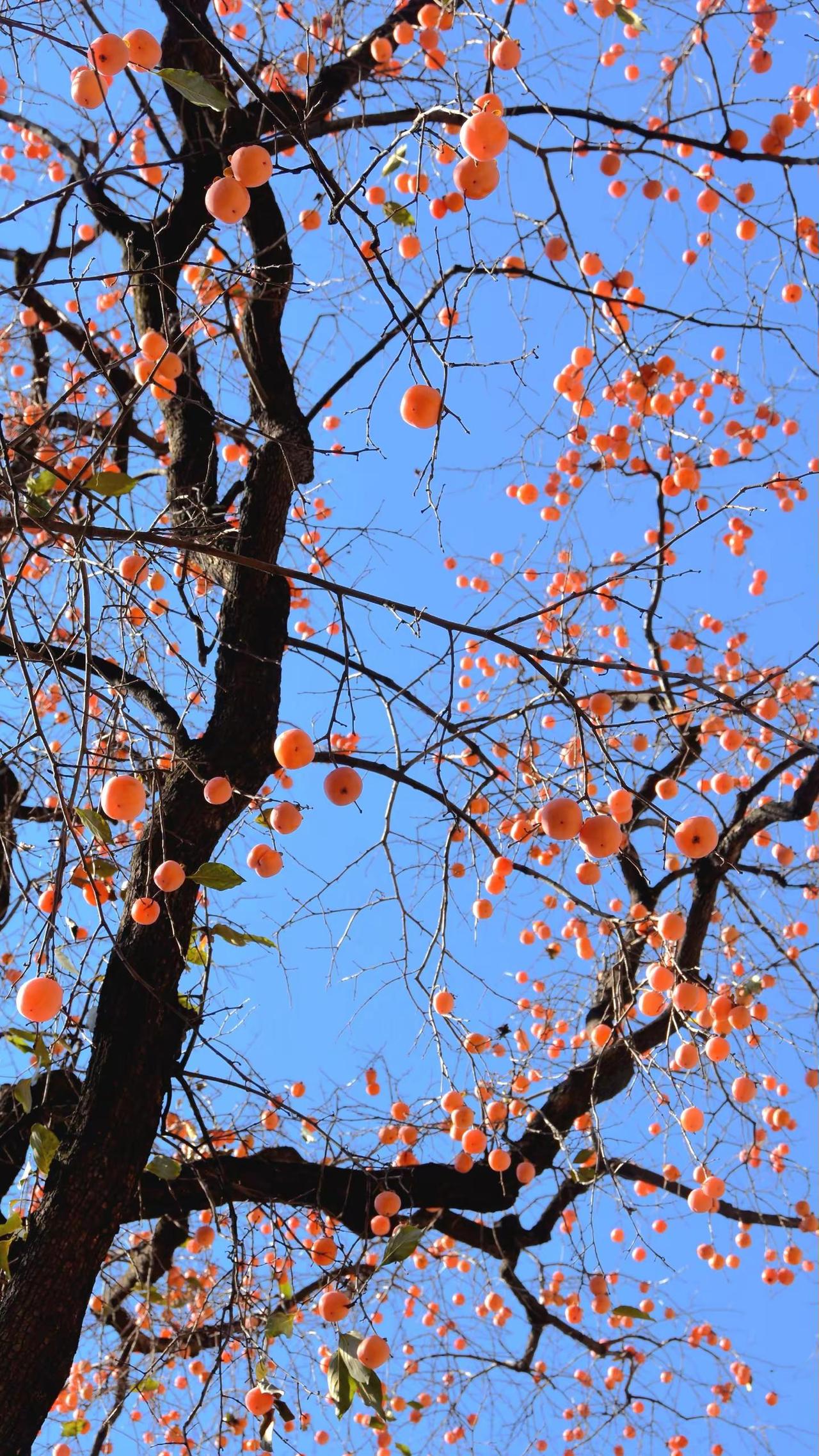 记录•太行一日