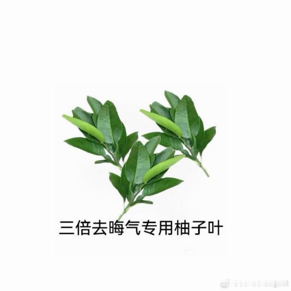一大早又见鬼了，你谁？ ​​​