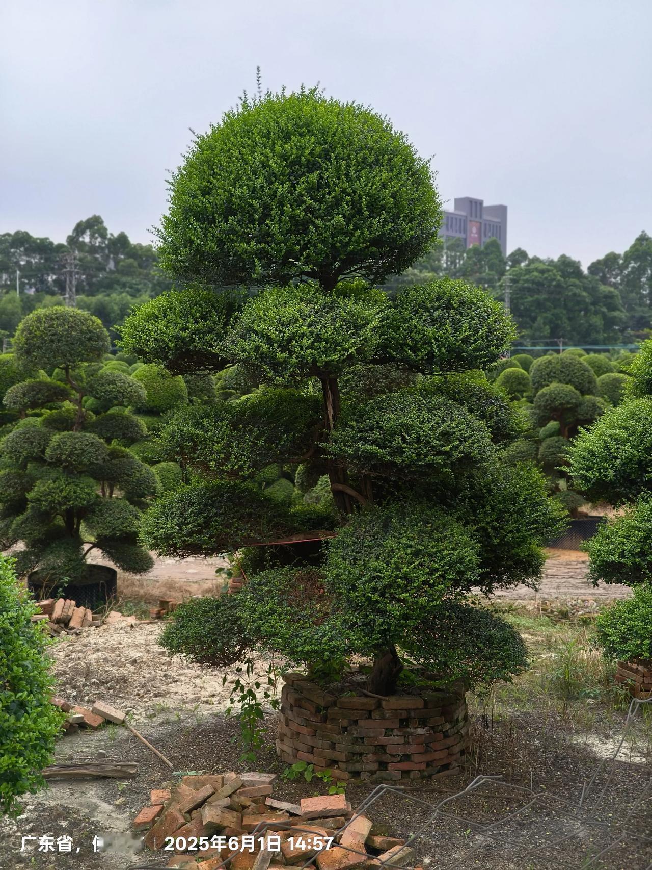 能接受3800元一个月工资的人，是不是只有在交不起下个月的房租，和付不起下个月生