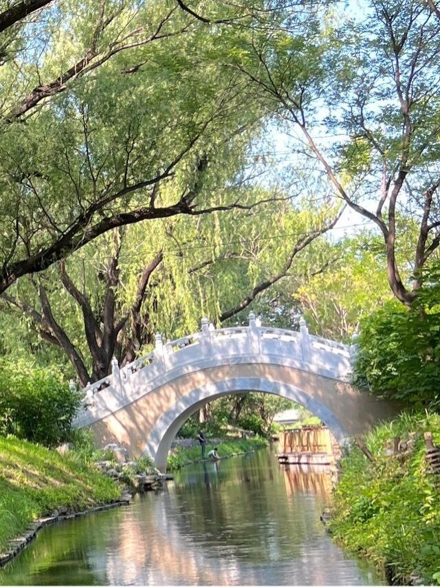 0800能为别人开花的心是善良的心，能为别人缤纷的赞美是真诚的情，能为别人的生活
