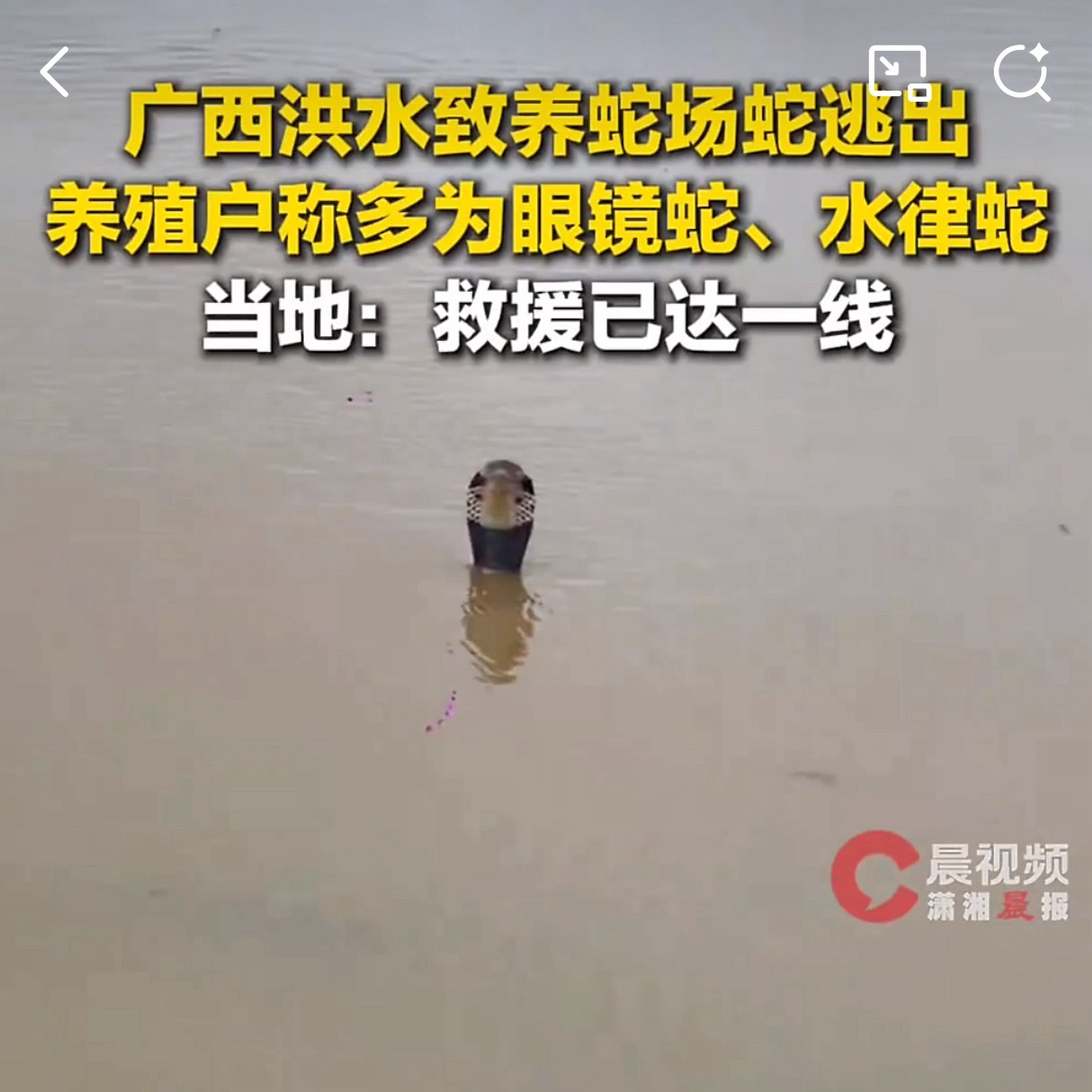 洪水致养蛇场蛇逃出有眼镜蛇主要养殖眼镜蛇、王锦蛇和水律蛇三类，其中眼镜蛇具有毒性