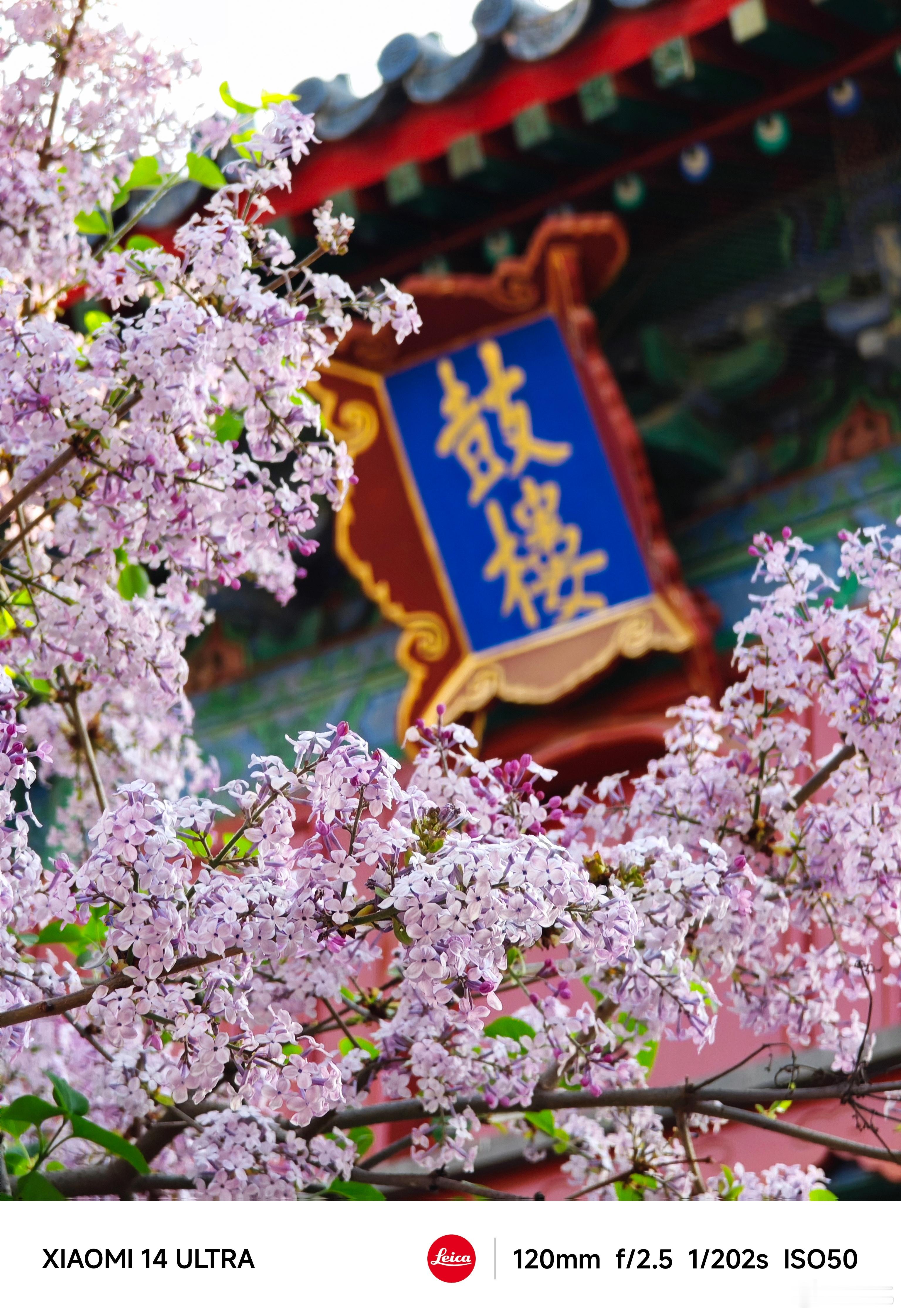 #每天早起打卡#早上好，今天该前往下一个城市了 ​​​