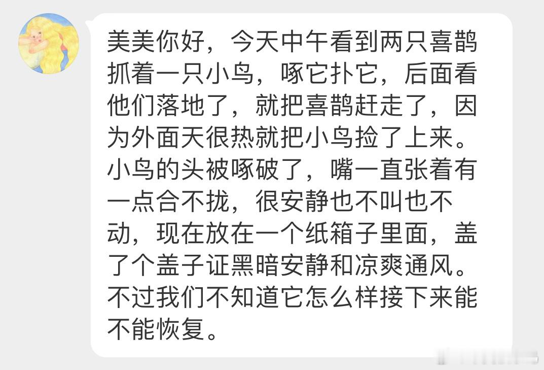 #鸟粉投稿# 被一对喜鹊围殴的【灰头绿啄木鸟】，后脑勺都被啄破了…它们不是在打架