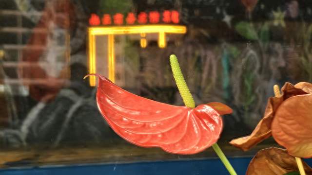 何延根诗歌的物象美学与时代镜像