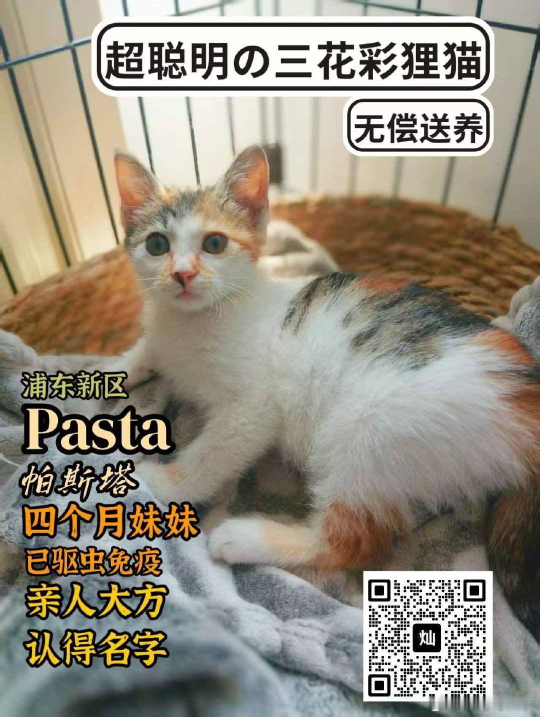 我的好友真的非常需要帮忙她把所有业余时间都用来救助流浪猫了，也因为一念之差没来得