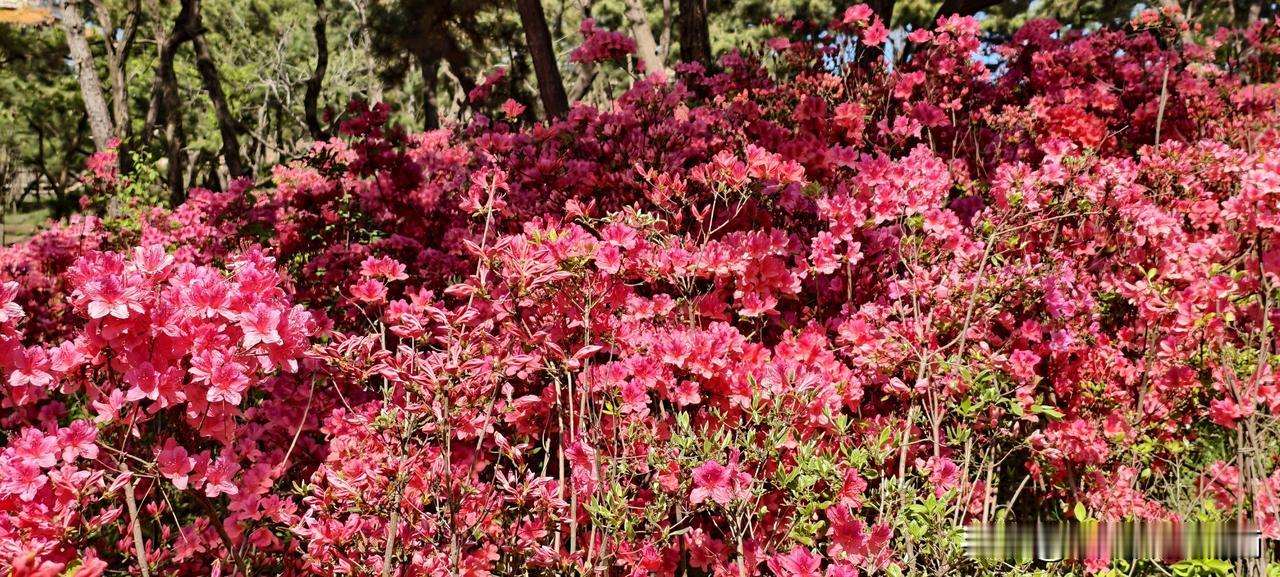 开会发言的最高境界？就是放了一通屁，还自带香味

今天开项目复盘会，轮到市场部王