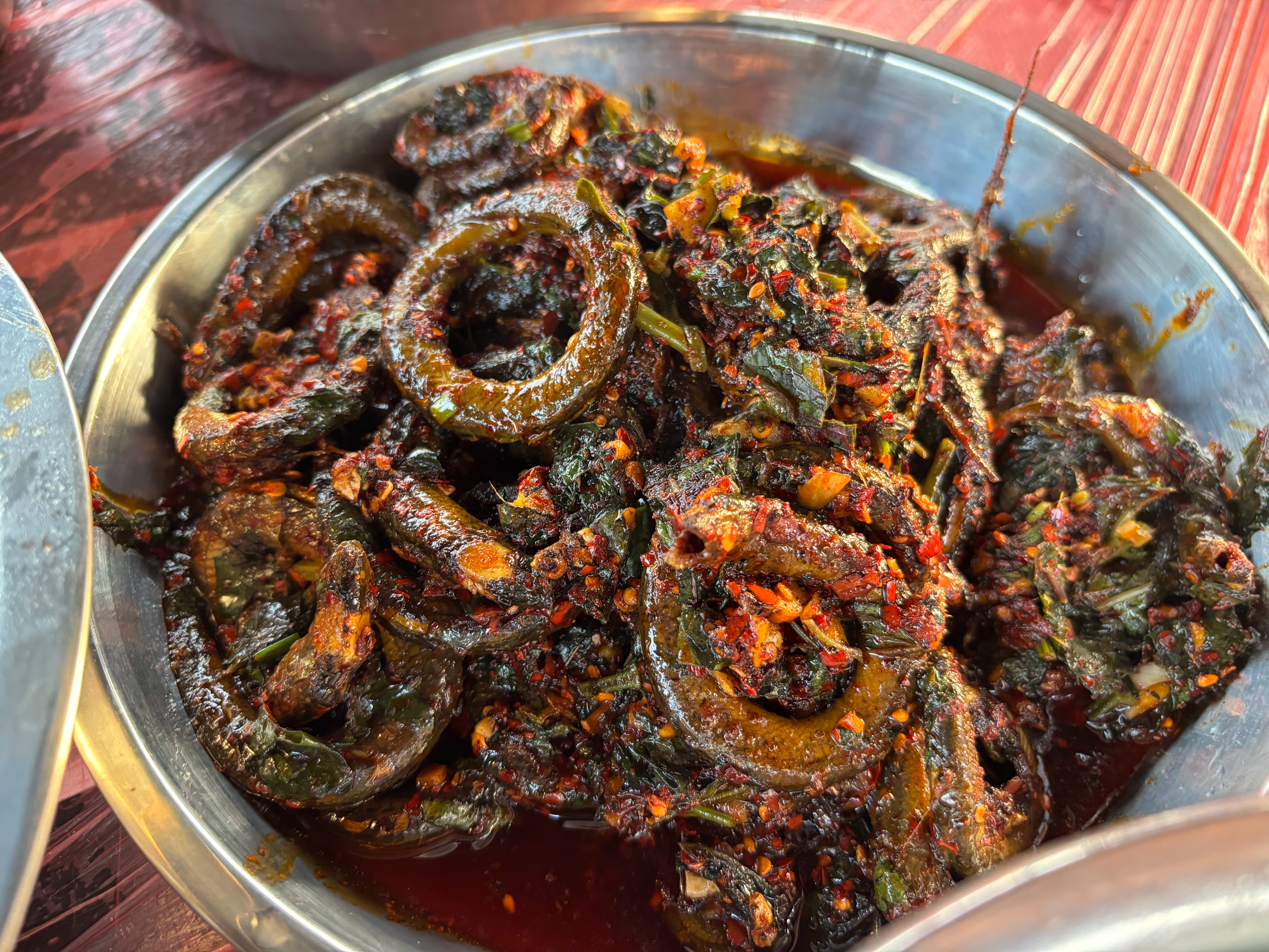 今日份天气好 来野炊了～从买菜 洗切炒 室友们都很赞 已吃完✌️ 