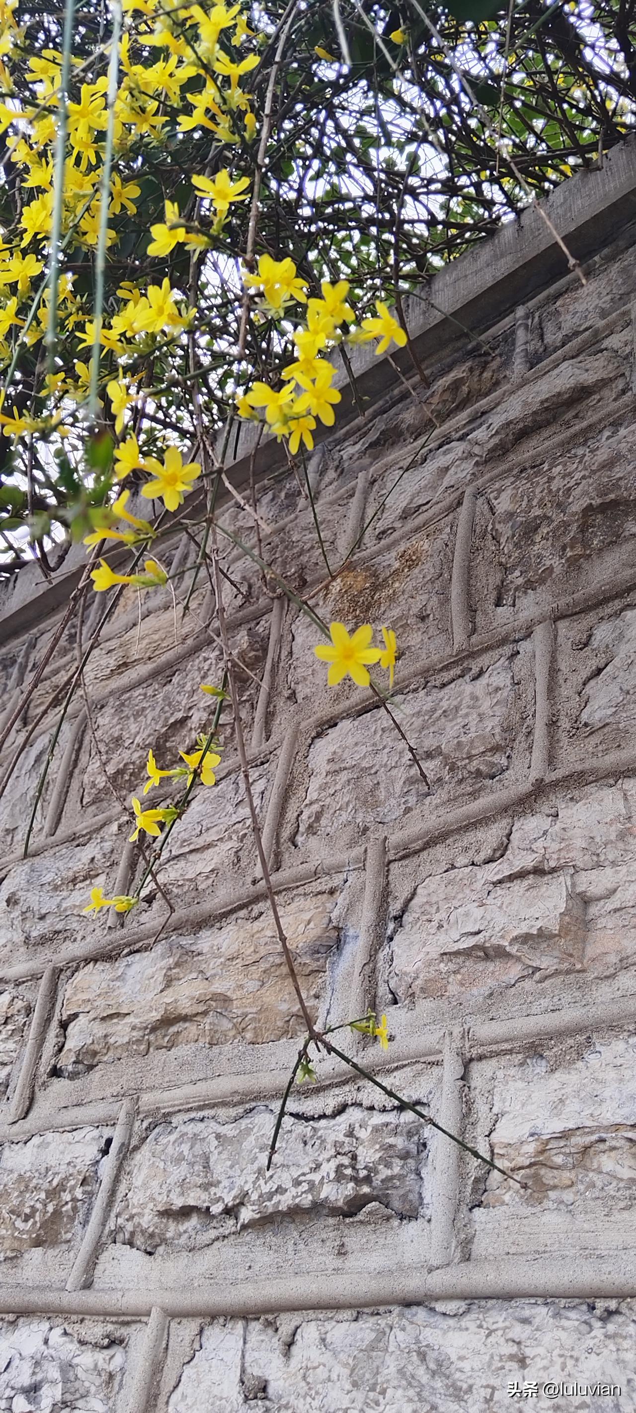 周末明明什么也没干却累得不行了。
果然还是女人的钱好赚。上周在网上发了一个从去年
