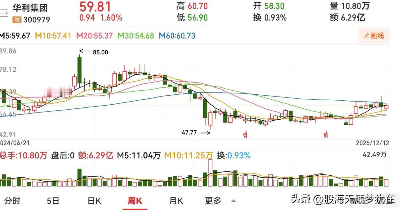 请哪位技术派、短线高手帮我看看，这只股票为何反弹途中突然大跌？

华利集团，运动