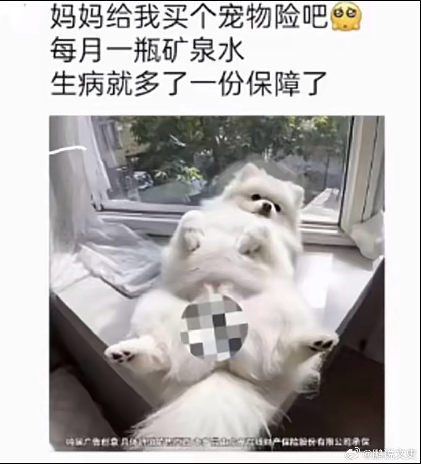宠物险广告把女性私处P图狗身上这么干的目的是什么？ 