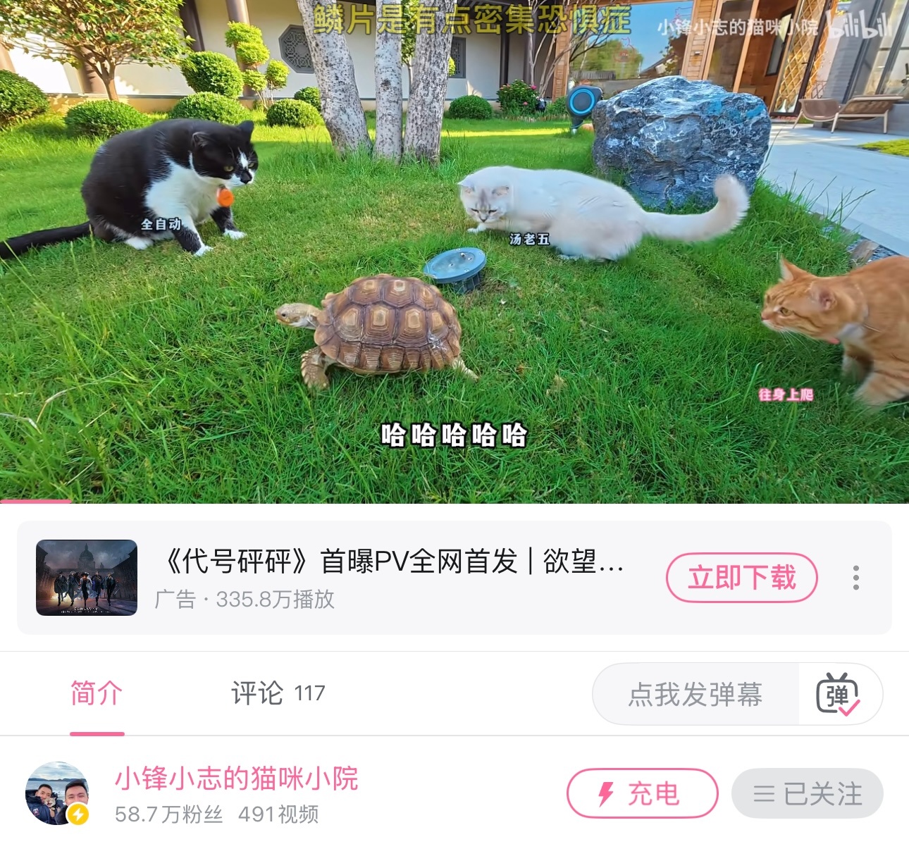 俺的电子榨菜，神仙生活