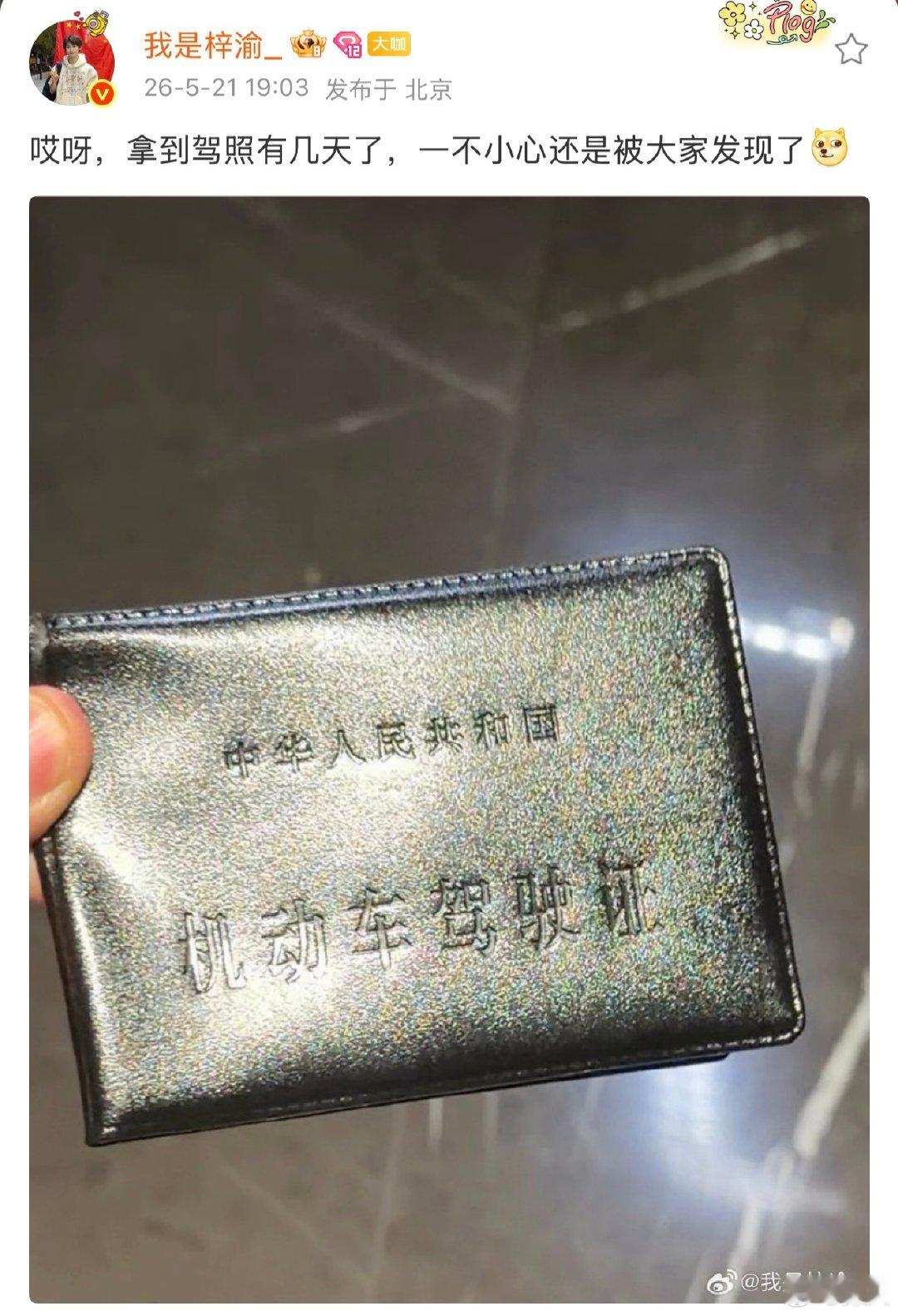梓渝回应拿到驾照梓渝一不小心还是被大家发现了 梓渝回应拿到驾照，可以的梓渝演我拿