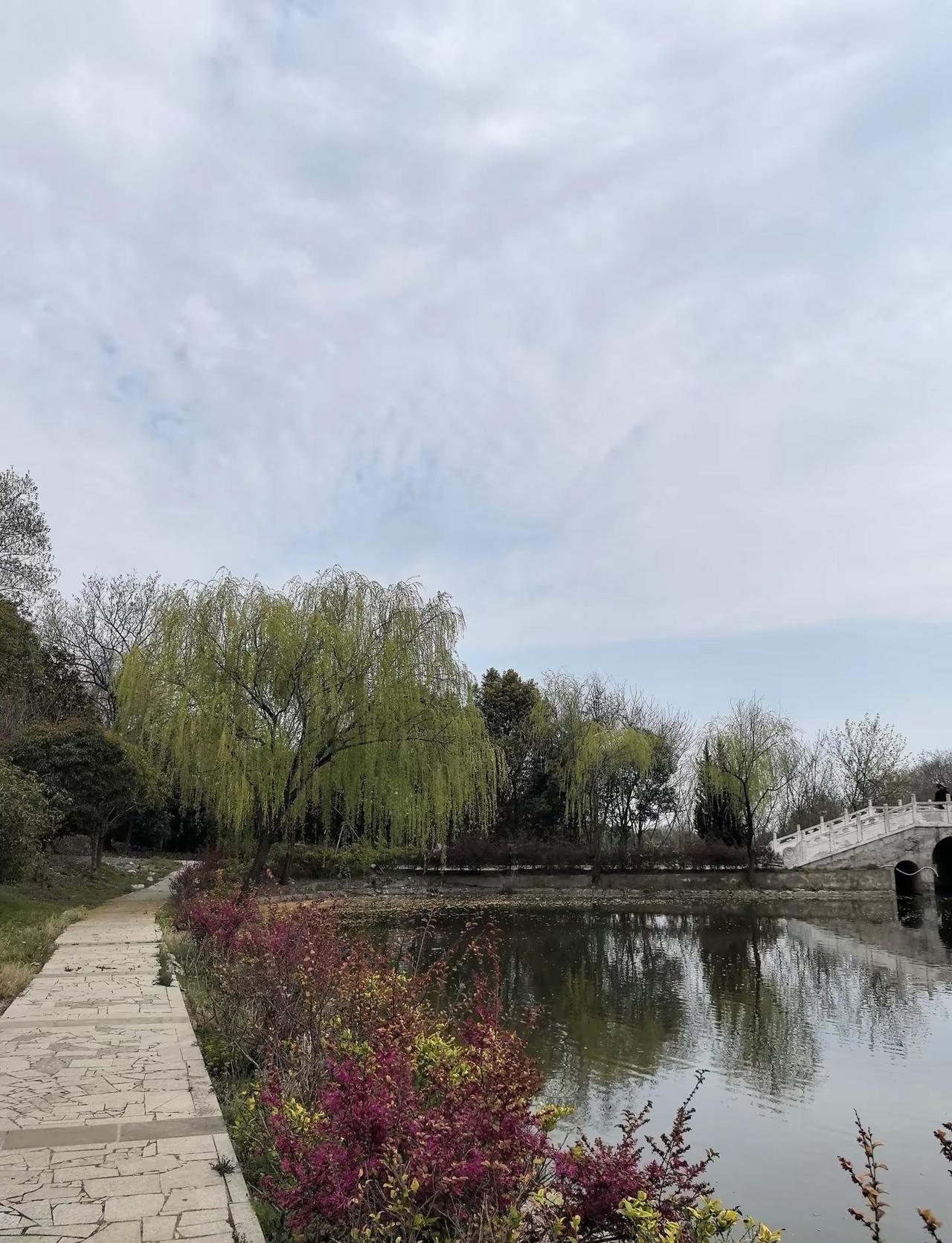 备一杯36℃的茶水，迎着春风奔向心之所向。它不是繁华圣地、不是网红乐园。它不张扬