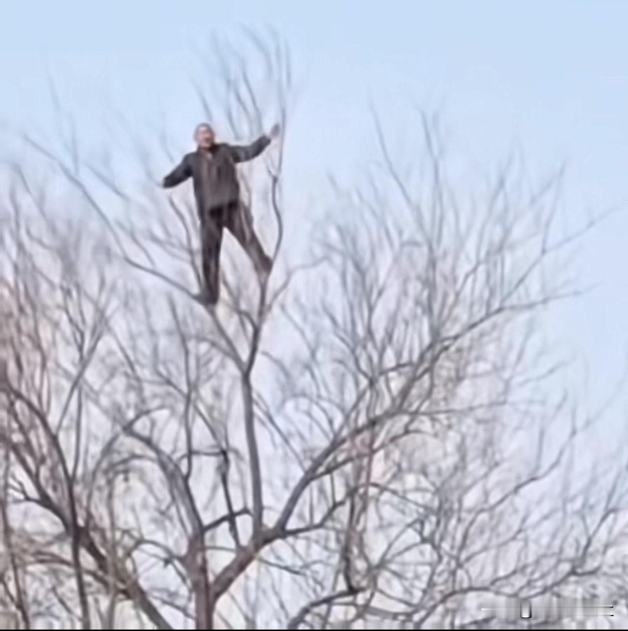 我满心疑惑，脑袋里全是问号，他究竟是通过什么方式上去的呢？