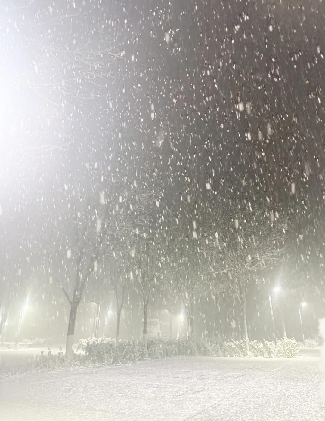 2026年，石家庄暴雪
国际庄石家庄这么近那么美周末到河北 大雪纷飞的季节 雪一