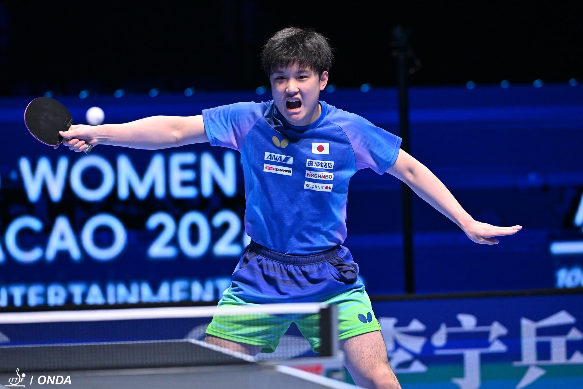 张本智和张本智和2026澳门乒乓球世界杯 训练场地图片📷cr. ittf 