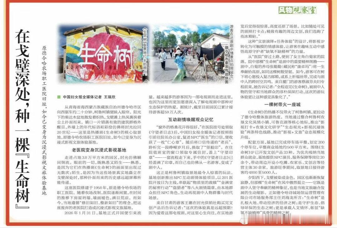 中国妇女报版面新闻《生命树》专题报道！越来越多的游客因为一部电视剧而走进这里，“