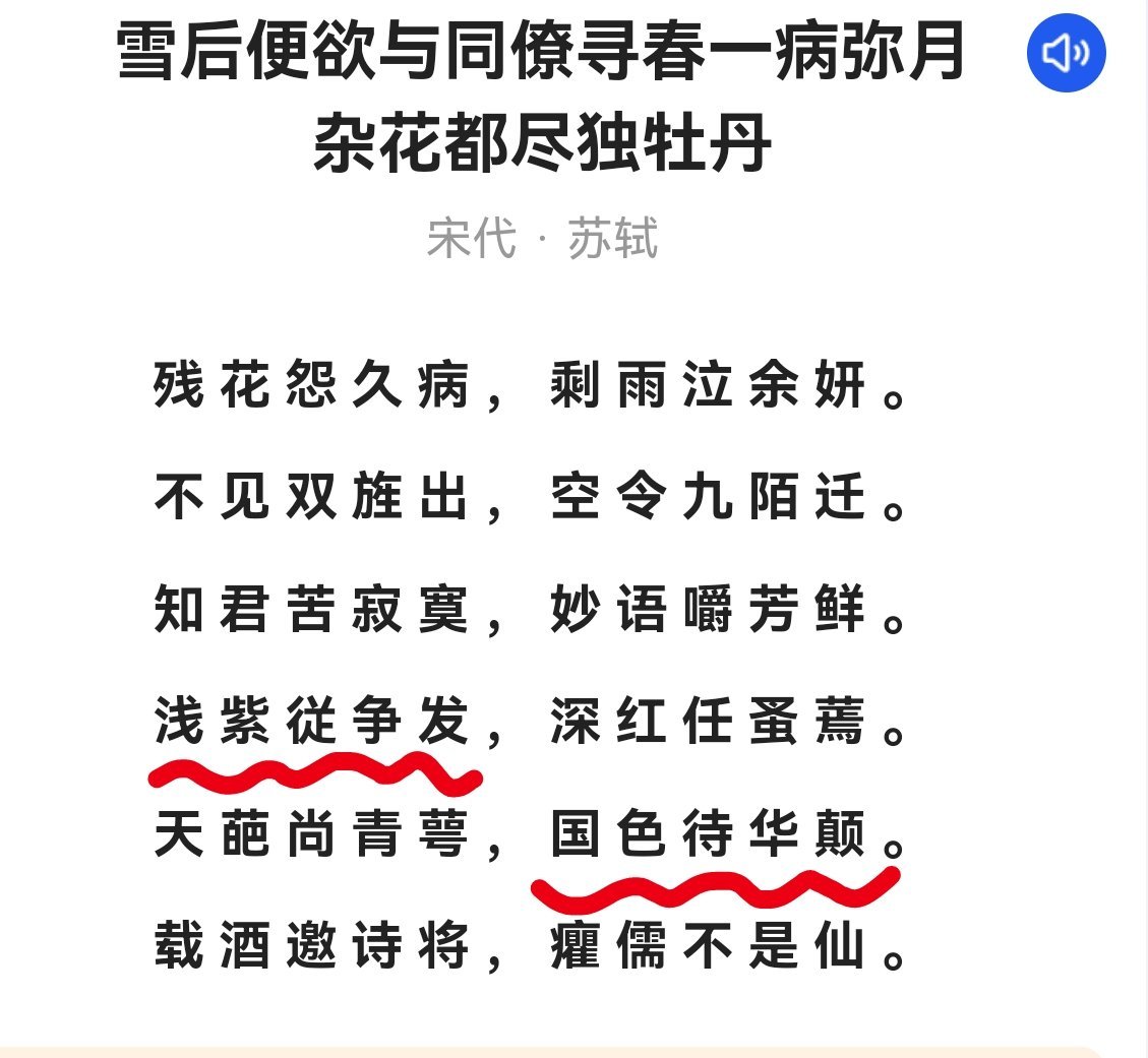 国色芳华更玄学的来了…牡丹、（杨）紫、国色（芳）华 
