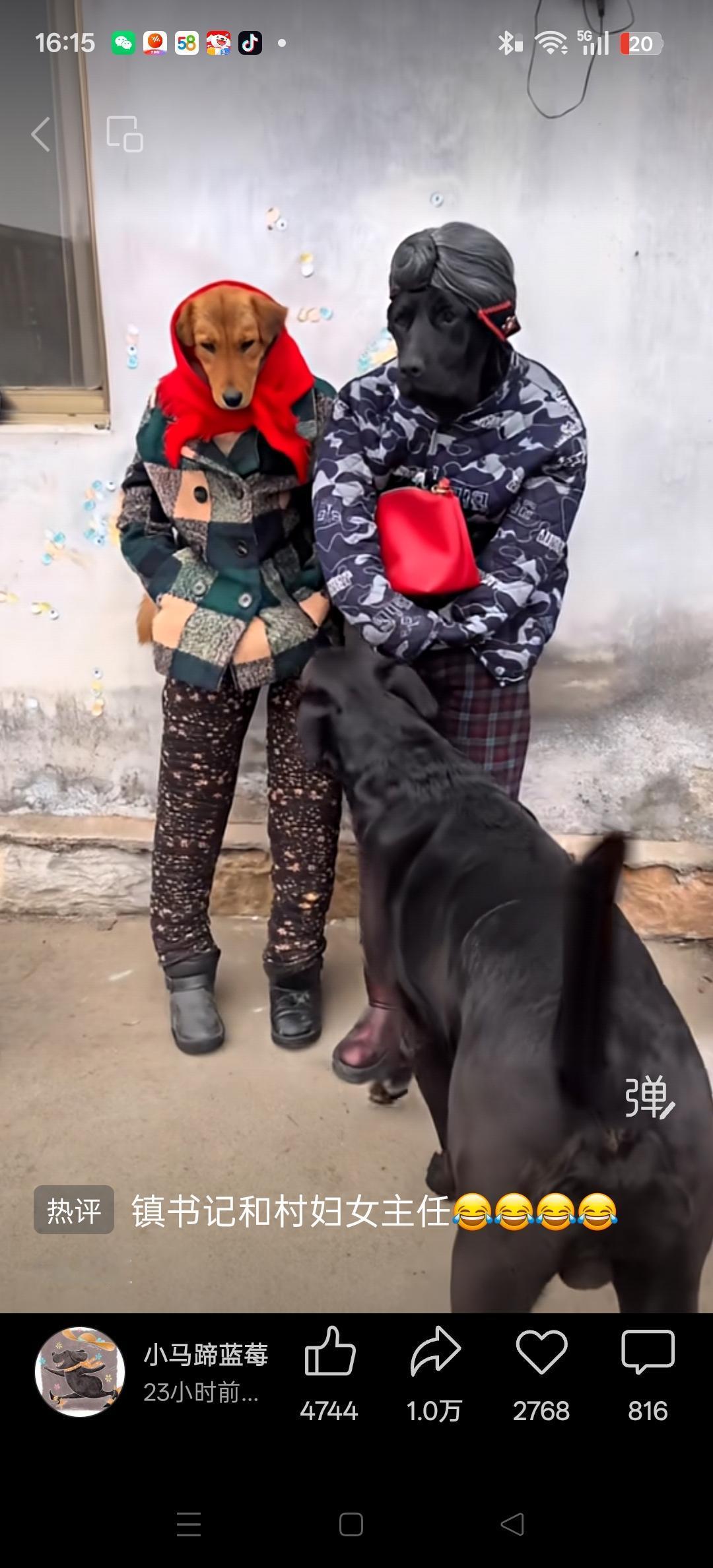 最近老是喜欢看小视频，觉得一些小视频虽然短，但却有意义，能够接触一点现实的生活，