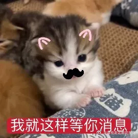 常华森能不能出来动动 最好是发个18宫格炸炸我们