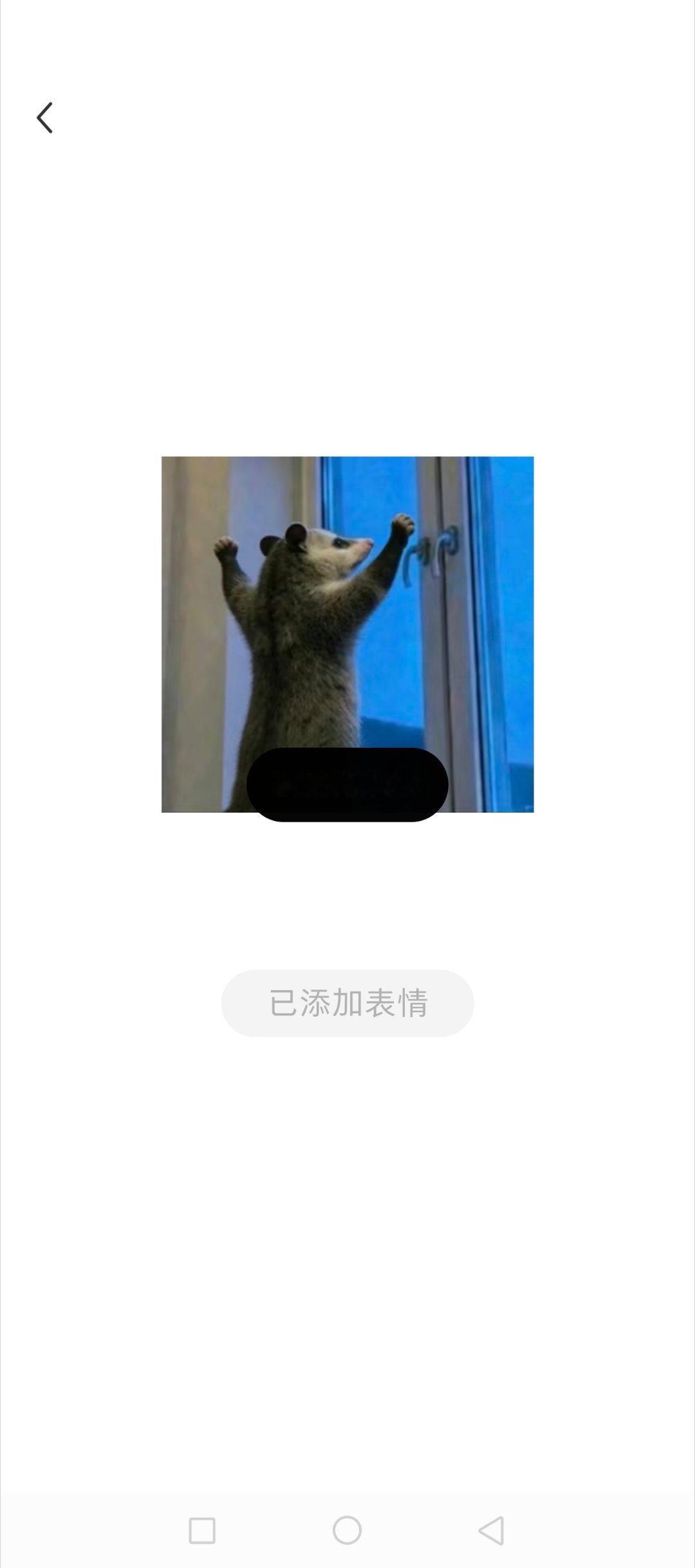 哈哈哈哈哈哈 