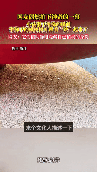 “解释不清了！”浙江，一男子带着自己孩子去玩滑梯，结果，当孩子从滑梯滑下来的那一