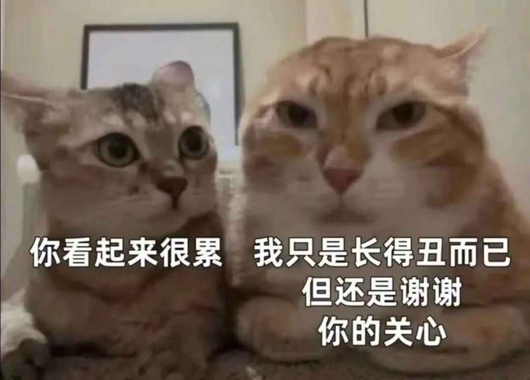 谢谢你的关心[柯基] ​​​