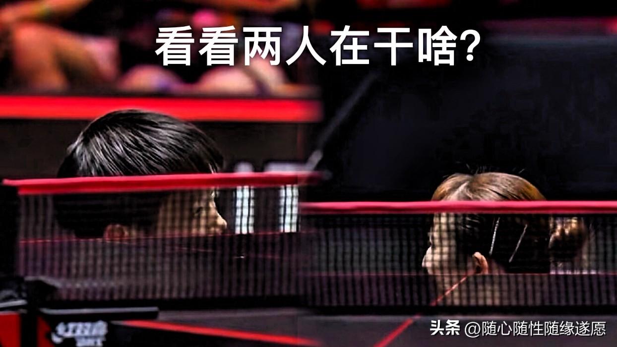 看看两人在干啥？[捂脸]

有人说，两人在躲猫猫；有人说早田在祈求莎莎：“你就不