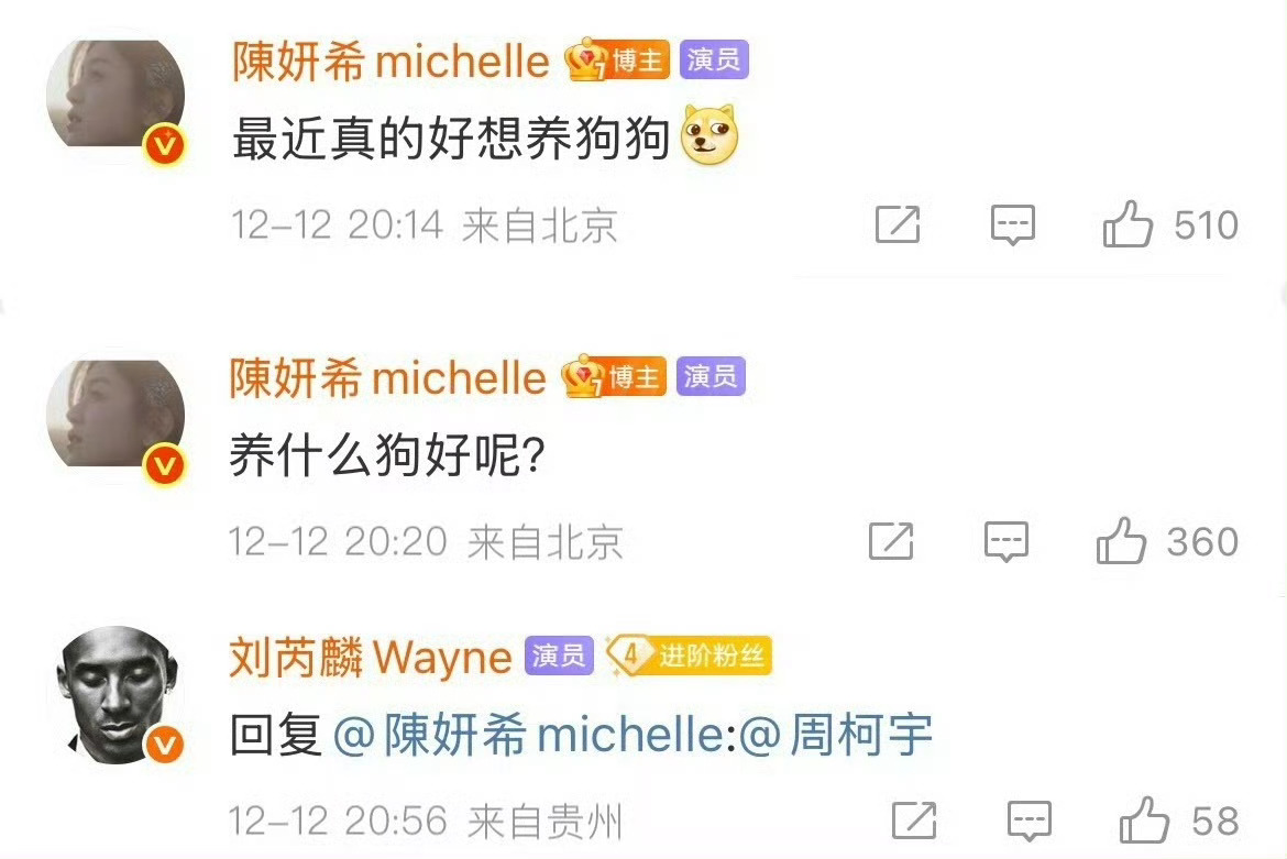 刘芮麟回复陈妍希 刘芮麟直接贴脸开大！陈妍希说最近真的好想养狗，养什么狗好呢？刘